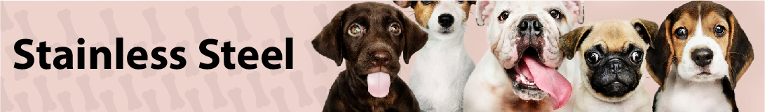 dog banner image